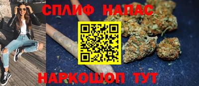 хмурый Кингисепп