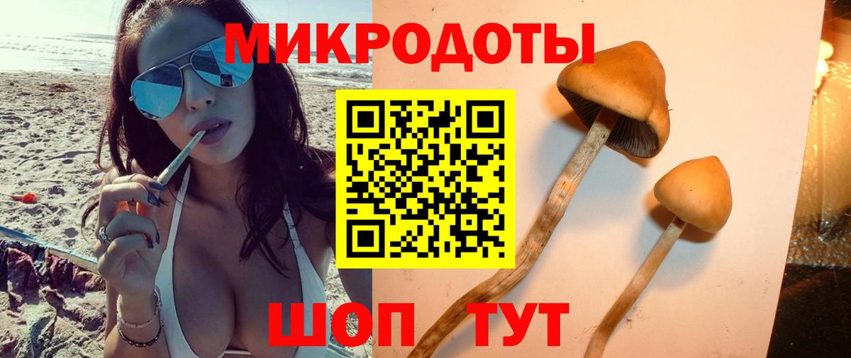 Псков  Галлюциногенные грибы мухоморы  Вход с VPN 